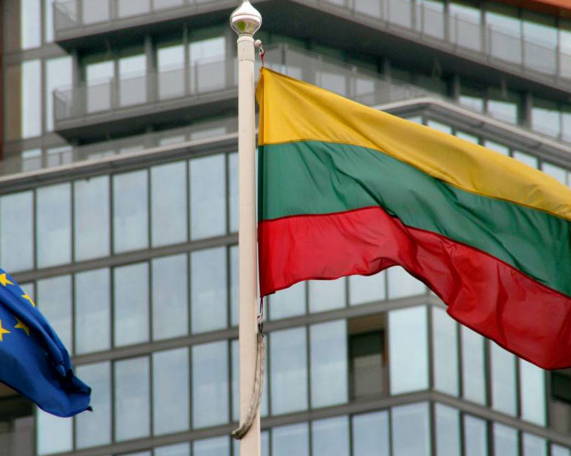Lithuania Government Procurement Project