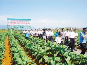 喜德縣農(nóng)業(yè)畜牧和科學技術局